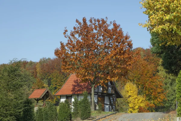 Timrade huset i höst, Hagen, Osnabrueck land, Niedersachsen, Tyskland Stockfoto