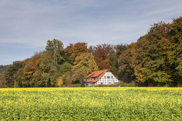 Maison à bois à Bad Iburg, Basse-Saxe, Allemagne, Europe — Photo