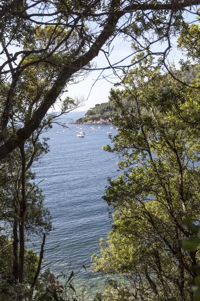 Costa mediterranea vicino Bagnaia, Isola d'Elba, Toscana, Italia — Foto Stock