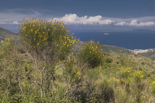 从山上 Cima 德尔蒙特里约内尔厄尔巴岛，意大利的托斯卡纳，厄尔巴岛附近查看 — 图库照片