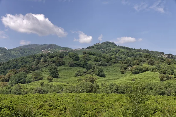 San Nicolao, Santu Niculaiu, Korzika, Franciaország — Stock Fotó