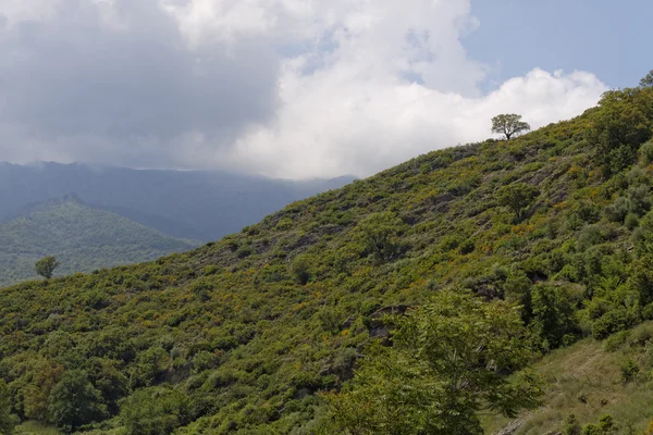 Paysage près de Ponte Novu, Corse centrale, France, Europe — Photo