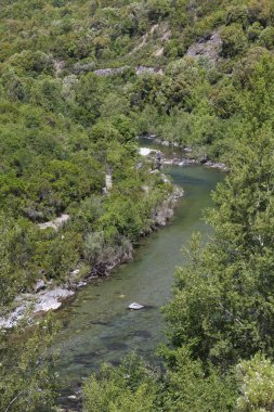 Tavignano Nehri Tavignano Vadisi, Corsica, Fransa, Avrupa