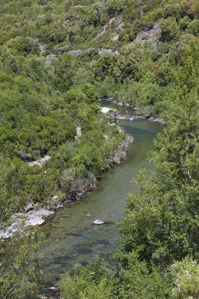 Tavignano rzeki w Europie Tavignano Valley, Korsyka, Francja, — Zdjęcie stockowe