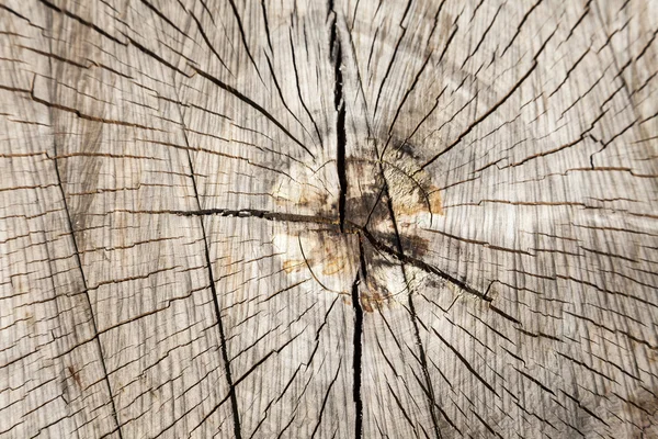 Houten draagstructuur van een ronde stam, Duitsland — Stockfoto