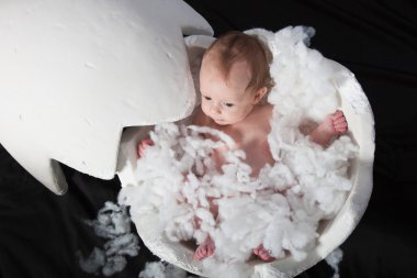 taranmış yumurta içinde yeni doğmuş bebek giderleri