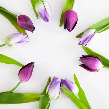 Yüzük beyaz zemin üzerine düzenlenen mor laleler