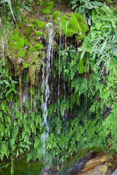 Vodopád, obklopené svěží zelený mech a rostliny — Stock fotografie