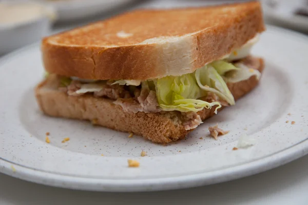 Primo piano di panino tostato su piatto — Foto Stock