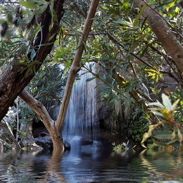 Cascada en una exuberante selva tropical —  Fotos de Stock