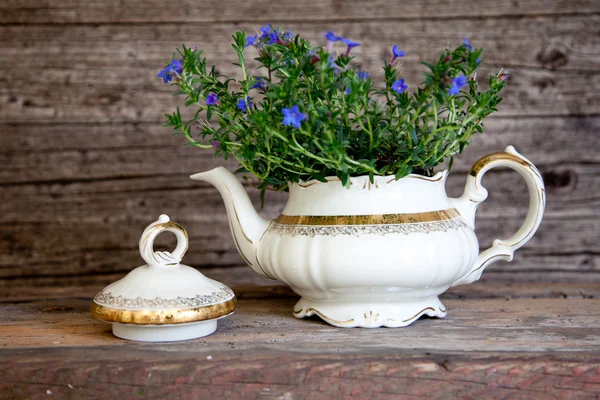 Buquê de flores violetas em vaso de chá branco — Fotografia de Stock