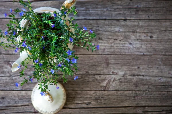 Bukett blommor i tekanna på plankor — Stockfoto