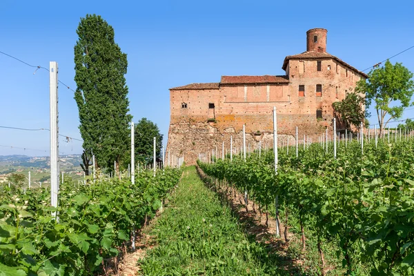 Antiguo castillo y viñedos en Italia . —  Fotos de Stock