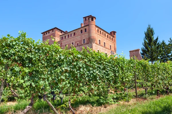 Winnice Grinzane Cavour we Włoszech. — Zdjęcie stockowe