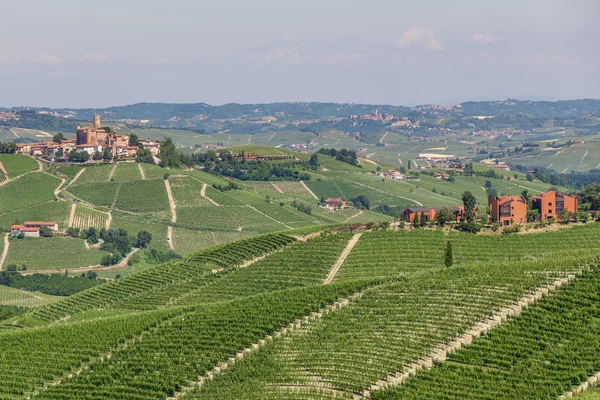 Piedmont, İtalya için tepelerde Yeşil üzüm bağları — Stok fotoğraf