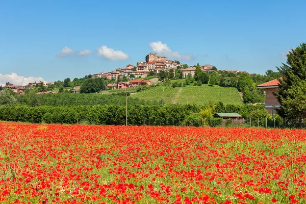 Field of red poppies in Italy. — Stock Photo, Image