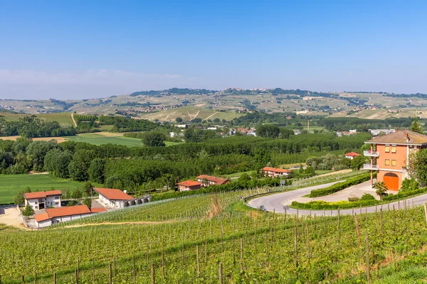 Grüne Weinberge im Piemont, Italien. — Stockfoto