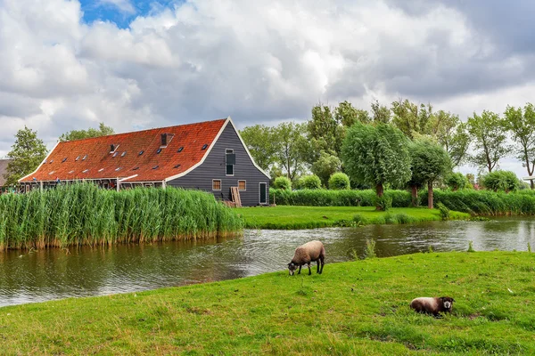 Zaanse Schans 마을, 네덜란드. — 스톡 사진