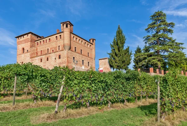 Oude kasteel en groene wijngaarden in Italië. — Stockfoto
