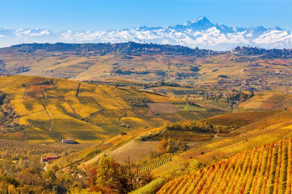 Autumnal vineyards and Alps in Piedmont, Italy. — Stock Photo, Image