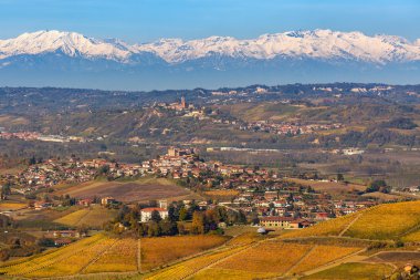 Sonbahar tepeler ve üzüm bağları Piedmont, İtalya.