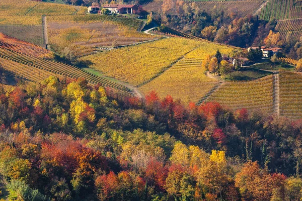 Autumnal colors of Italy. — Stock Photo, Image