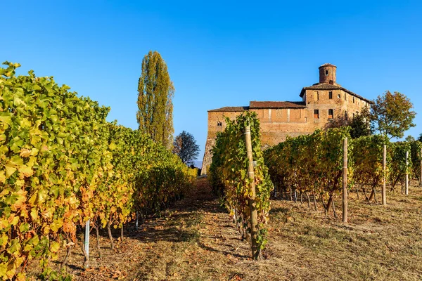 View Colorful Autumnal Vineyards Grow Blue Sky Barolo Piedmont Northern — Stock Photo, Image
