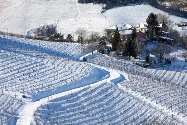 Śnieżna Droga Prowadzi Domów Wzgórzach Wśród Winnic Pokrytych Śniegiem Piemoncie — Zdjęcie stockowe