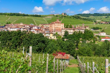 Kuzey İtalya 'daki Piedmont tepelerindeki yeşil üzüm bağları arasında Barolo kasabası manzarası.