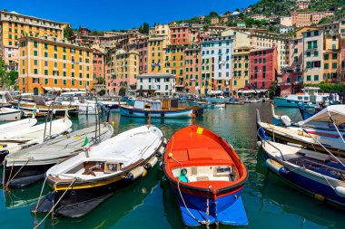 Boats in small port as typical colorful houses on background in Camogli, Italy. clipart