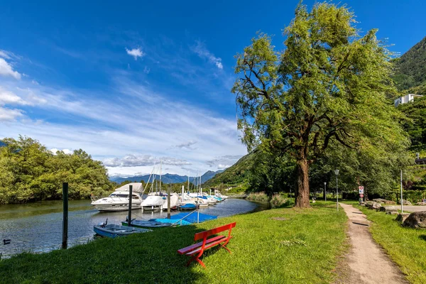 瑞士安科纳附近的马吉奥雷湖边狭窄的小路 绿草上的红色长椅和小船 — 图库照片