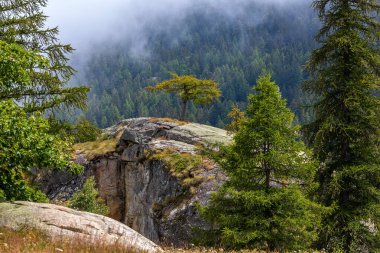 Kuzey İtalya, Piedmont 'ta, dağın yamacındaki kayalıklarda ve ormanlarda yeşil ağaçlar yetişir..