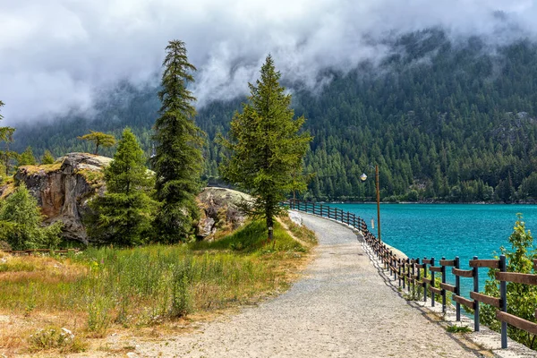 Smalle Weg Langs Lago Ceresole Groene Bomen Piemonte Noord Italië — Stockfoto