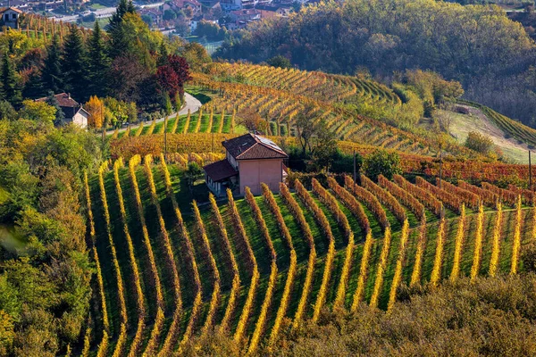 Vidéki Ház Dombon Között Színes Őszi Szőlőültetvények Piedmont Észak Olaszországban — Stock Fotó