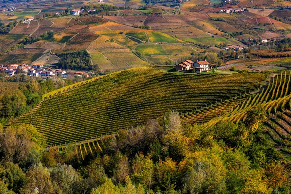 Kilátás Felülről Vidéki Házak Dombok Színes Őszi Szőlőültetvények Piedmont Észak — Stock Fotó