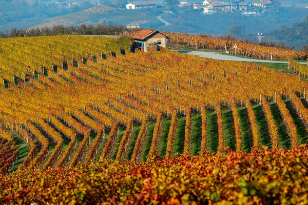 北イタリアのピエモンテ州のLangheの丘の上にカラフルな秋のブドウ畑の間の小さな田舎の家 — ストック写真