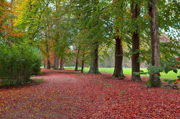 Racconigi parku podzimní pohled. — Stock fotografie