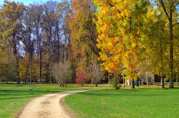 行人路和秋天的树叶，在意大利的树. — 图库照片