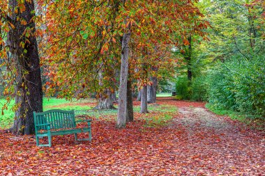 sonbahar Park Bench.
