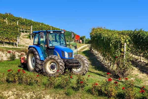 Tractor among vineyards. — Stock Photo, Image