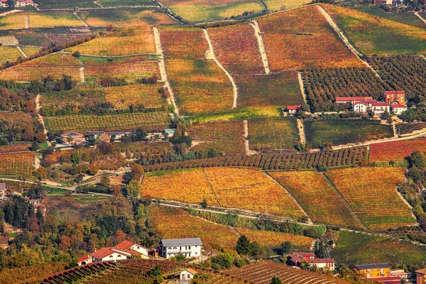 Herfst heuvels en wijngaarden in Piemonte, Italië. — Stockfoto