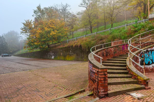 Mattinata nebbiosa nel parco cittadino . — Foto Stock