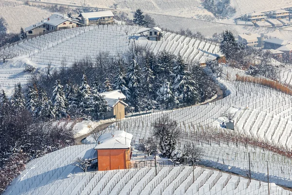 Snowy vineyards in Piedmont, Italy. — Stock Photo, Image