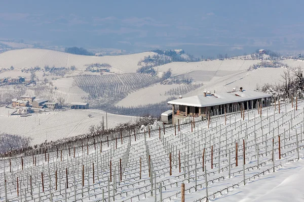 Hills and vineyard in winter. — Stock Photo, Image