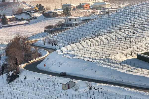 Vägen mellan vingård är täckt av snö. — Stockfoto