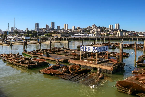 Pier 39 i San Francisco, Usa. — Stockfoto