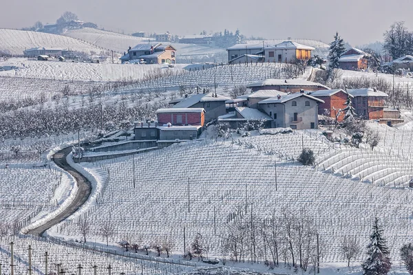 Vidéki téli kilátás Langhe. — Stock Fotó