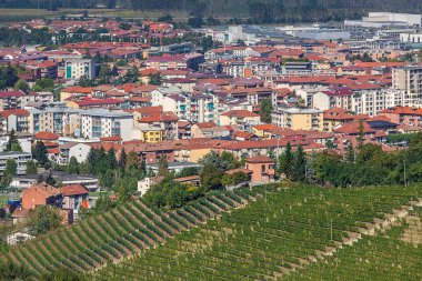 Langhe tepeler ve Alba şehir.