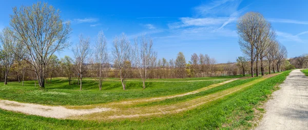 Park bij spring. — Stockfoto