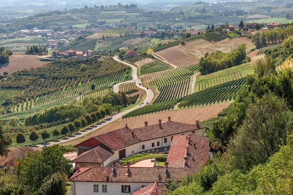 Landhaus, Weinberge und Straße in Italien. — Stockfoto